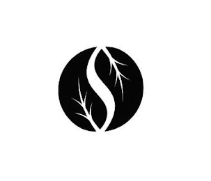 S logo