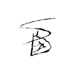 S logo
