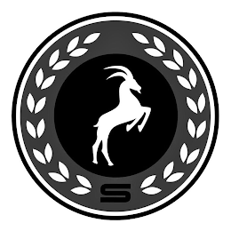S logo