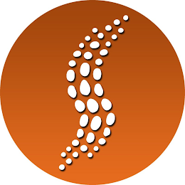 S logo