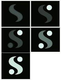 S logo