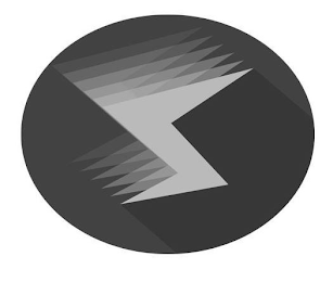 S logo