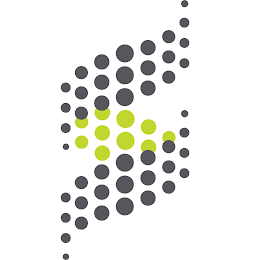 S logo