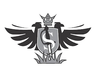 S logo