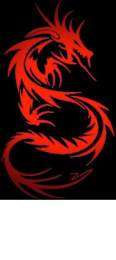 S logo