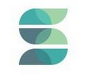 S logo