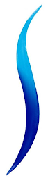S logo