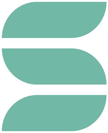 S logo