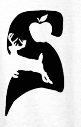 S logo