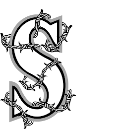 S logo
