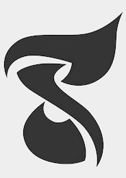 S logo