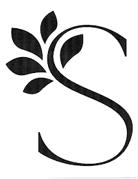 S logo