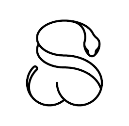 S logo