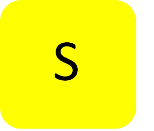S logo