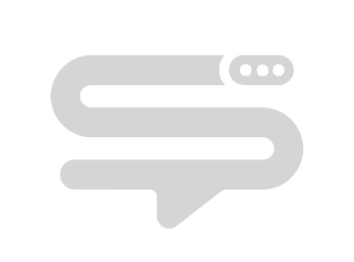 S logo