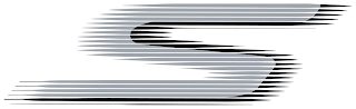 S logo