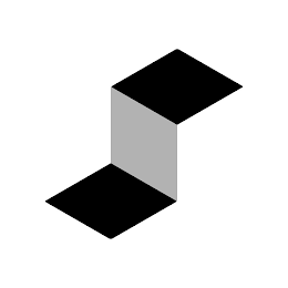 S logo