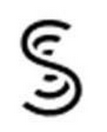 S logo