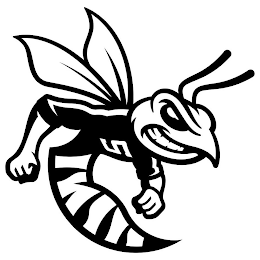 S logo
