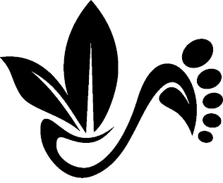 S logo