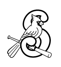 S logo