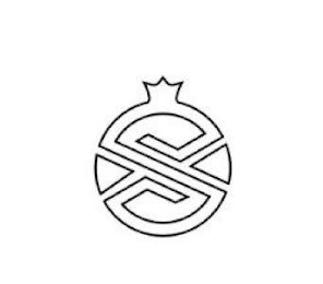 S logo