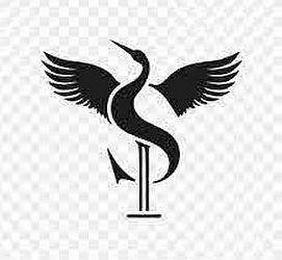 S logo