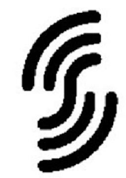 S logo