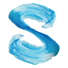 S logo