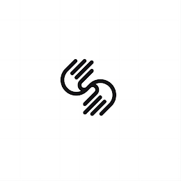 S logo