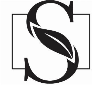 S logo
