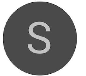 S logo