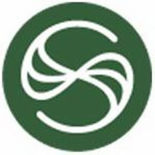 S logo