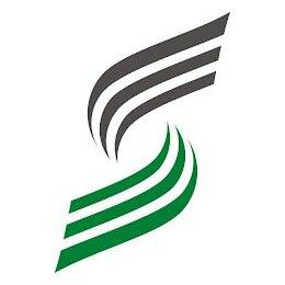 S logo