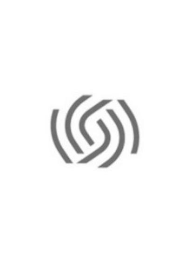 S logo