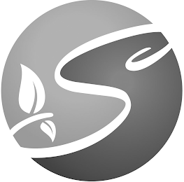 S logo