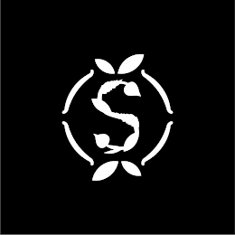 S logo