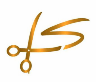 S logo