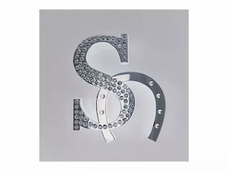 S logo