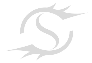 S logo