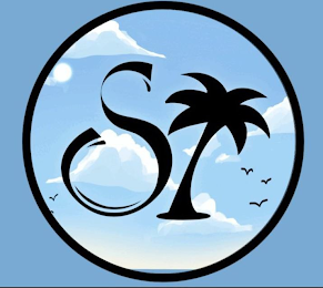 S logo