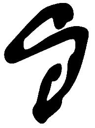 S logo