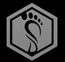 S logo
