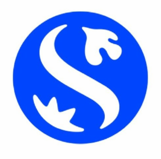 S logo