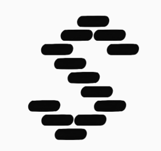 S logo