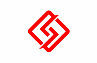 S logo