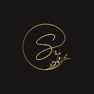 S logo