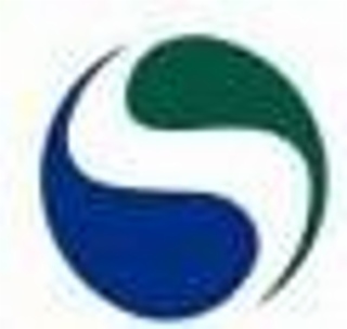 S logo