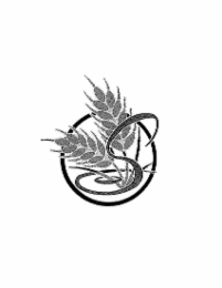 S logo