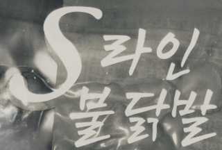 S logo